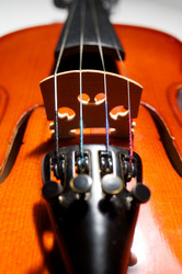 Similar image 21256130