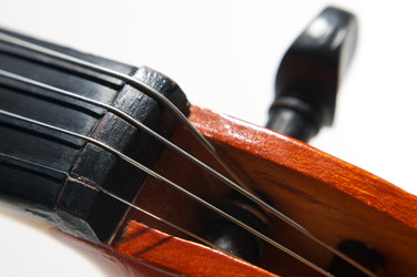 Similar image 21256137