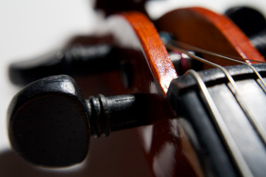 Similar image 21256337