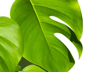 Similar image 21248842