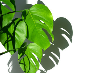 Similar image 21248843