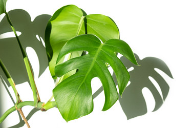 Similar image 21248844