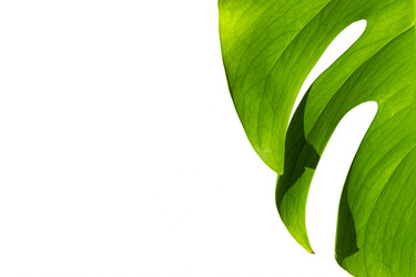 Similar image 21249042