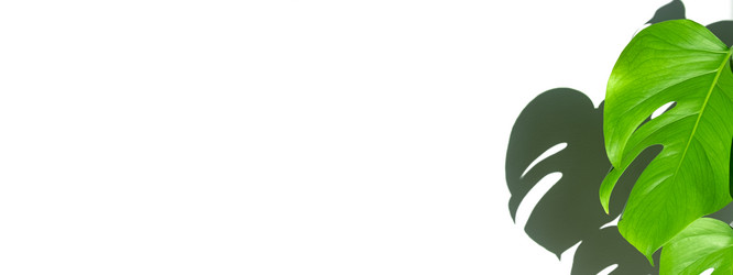 Similar image 21249043