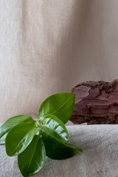 Similar image 21206796