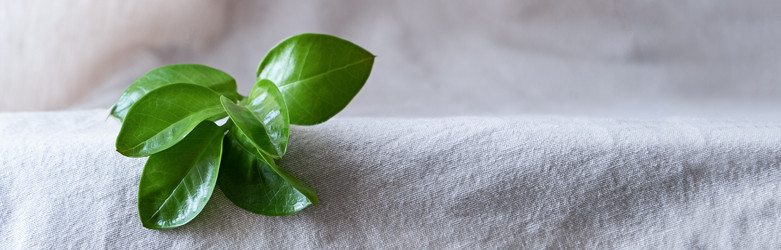 Similar image 21206803