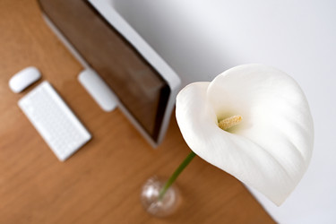 Similar image 21206807