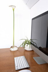 Similar image 21206809