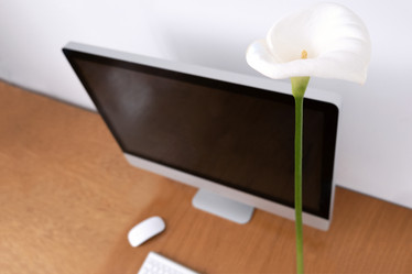 Similar image 21206811