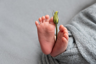 Similar image 21220622