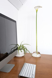 Similar image 21220623