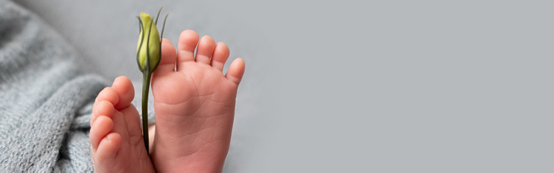 Similar image 21220701