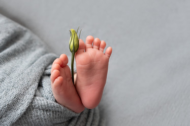 Similar image 21220703