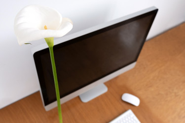 Similar image 21220705