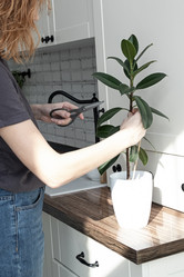 Similar image 21232275