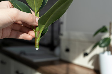 Similar image 21232280