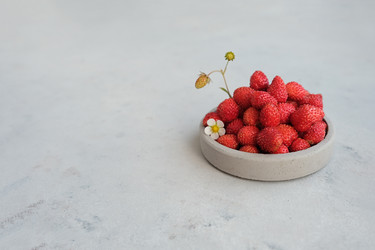 Similar image 21232382