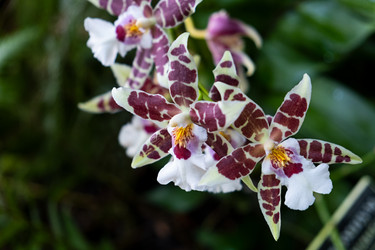 Similar image 21232388