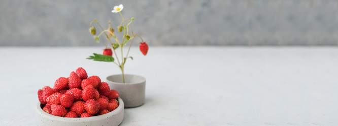 Similar image 21232390