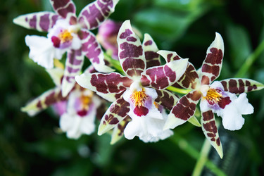 Similar image 21232401