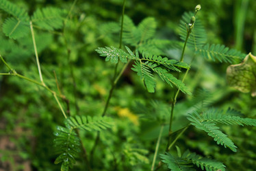 Similar image 21232402