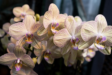 Similar image 21232403