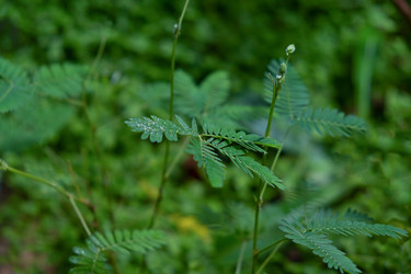 Similar image 21232407