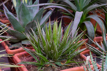 Similar image 21232408