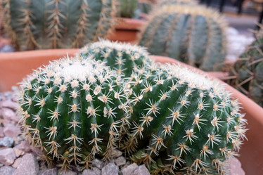 Similar image 21232409