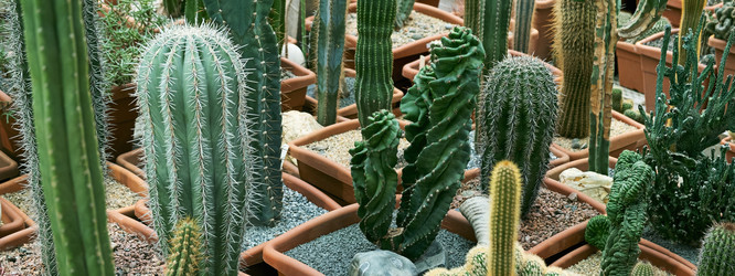 Similar image 21232412