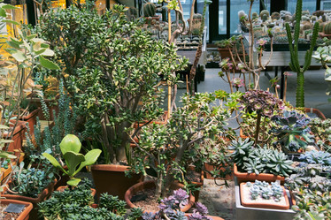 Similar image 21232413