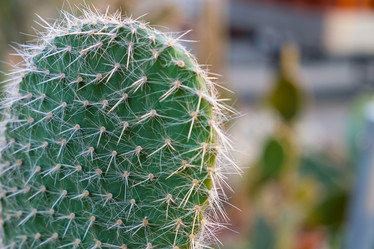 Similar image 21232414