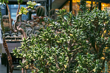 Similar image 21244886