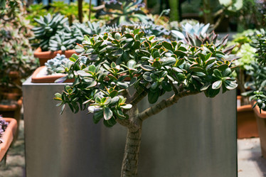 Similar image 21244887