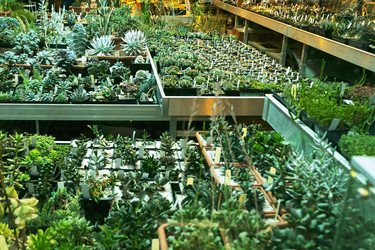 Similar image 21244888