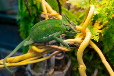 Similar image 21244907