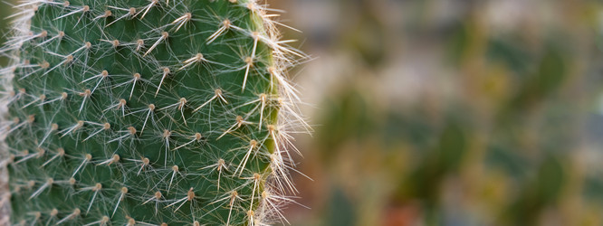 Similar image 21244909