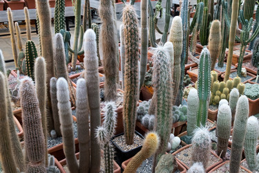 Similar image 21244910