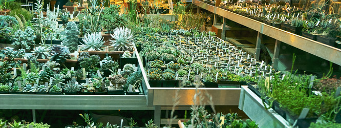 Similar image 21244911