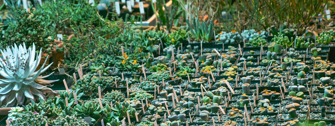 Similar image 21244912