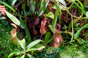 Similar image 21244918