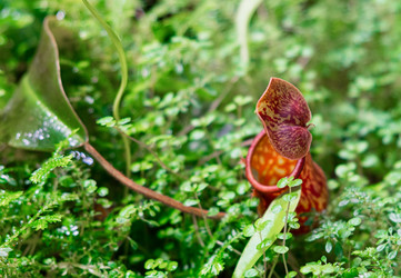 Similar image 21244919