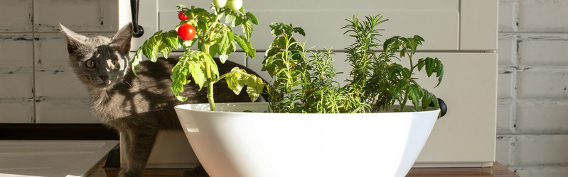 Similar image 21249050