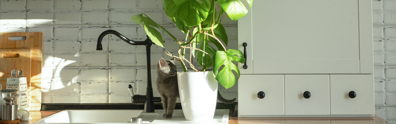 Similar image 21249051