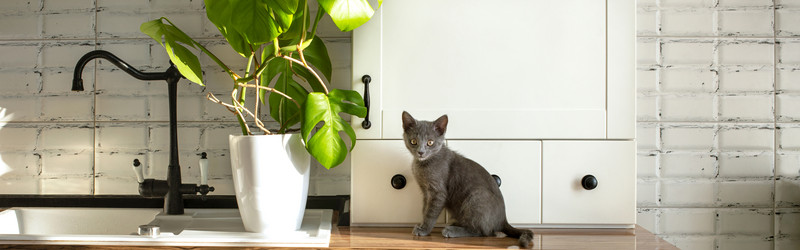 Similar image 21249052