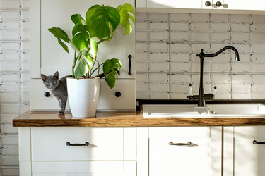 Similar image 21249053