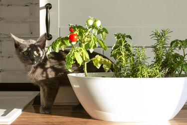 Similar image 21249054