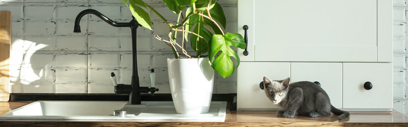 Similar image 21249055