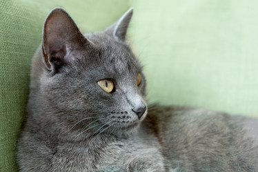 Similar image 21249058