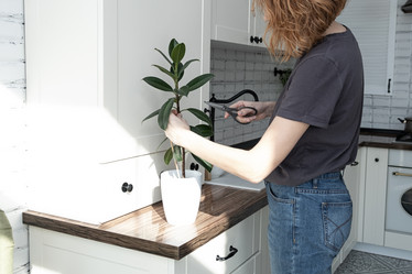 Similar image 21206821